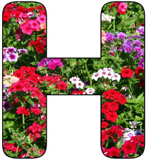 Deko-Buchstaben-Blumen_H.jpg